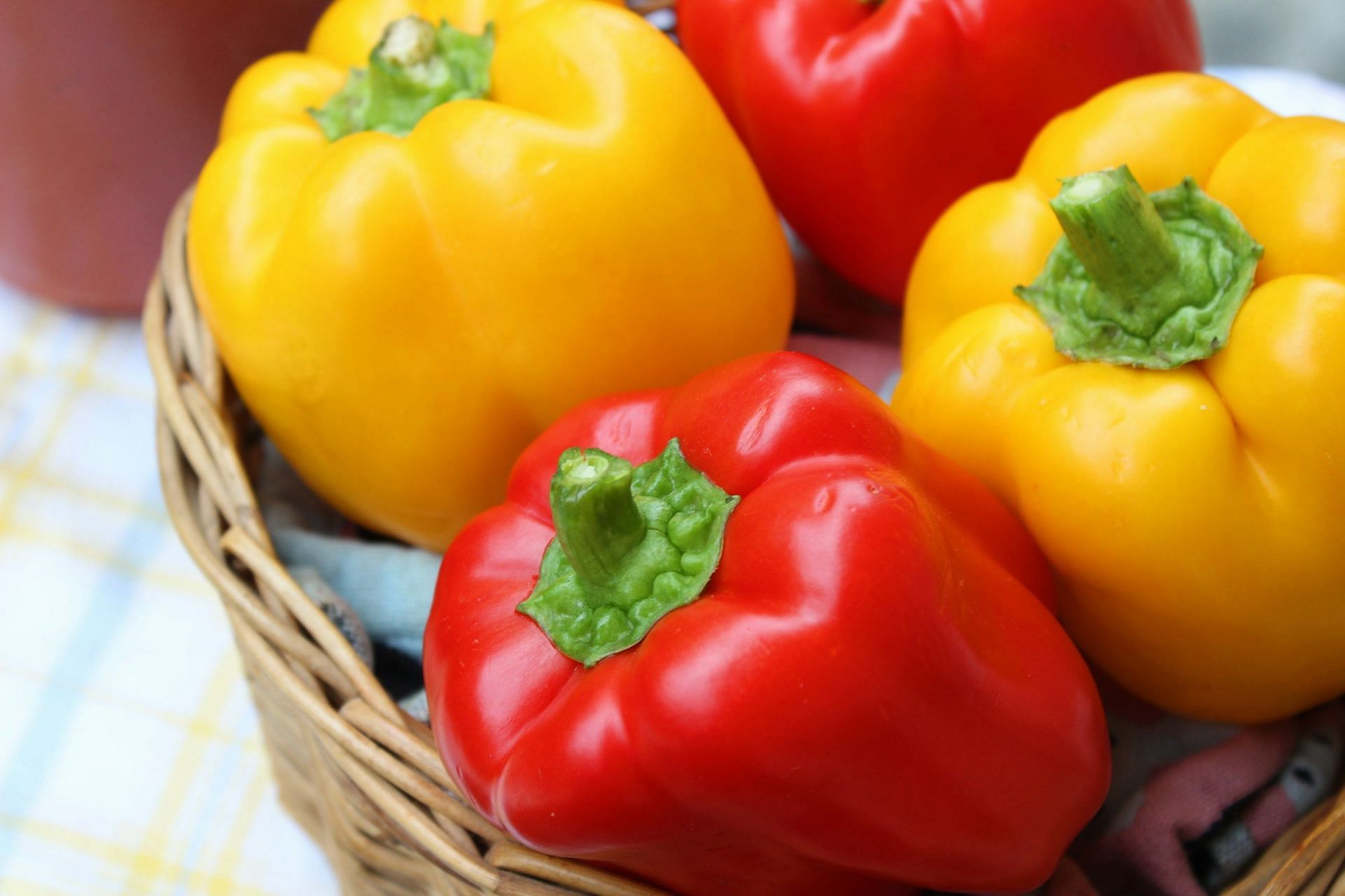 Water-Rich Foods (Image via Unsplash/Rens D)